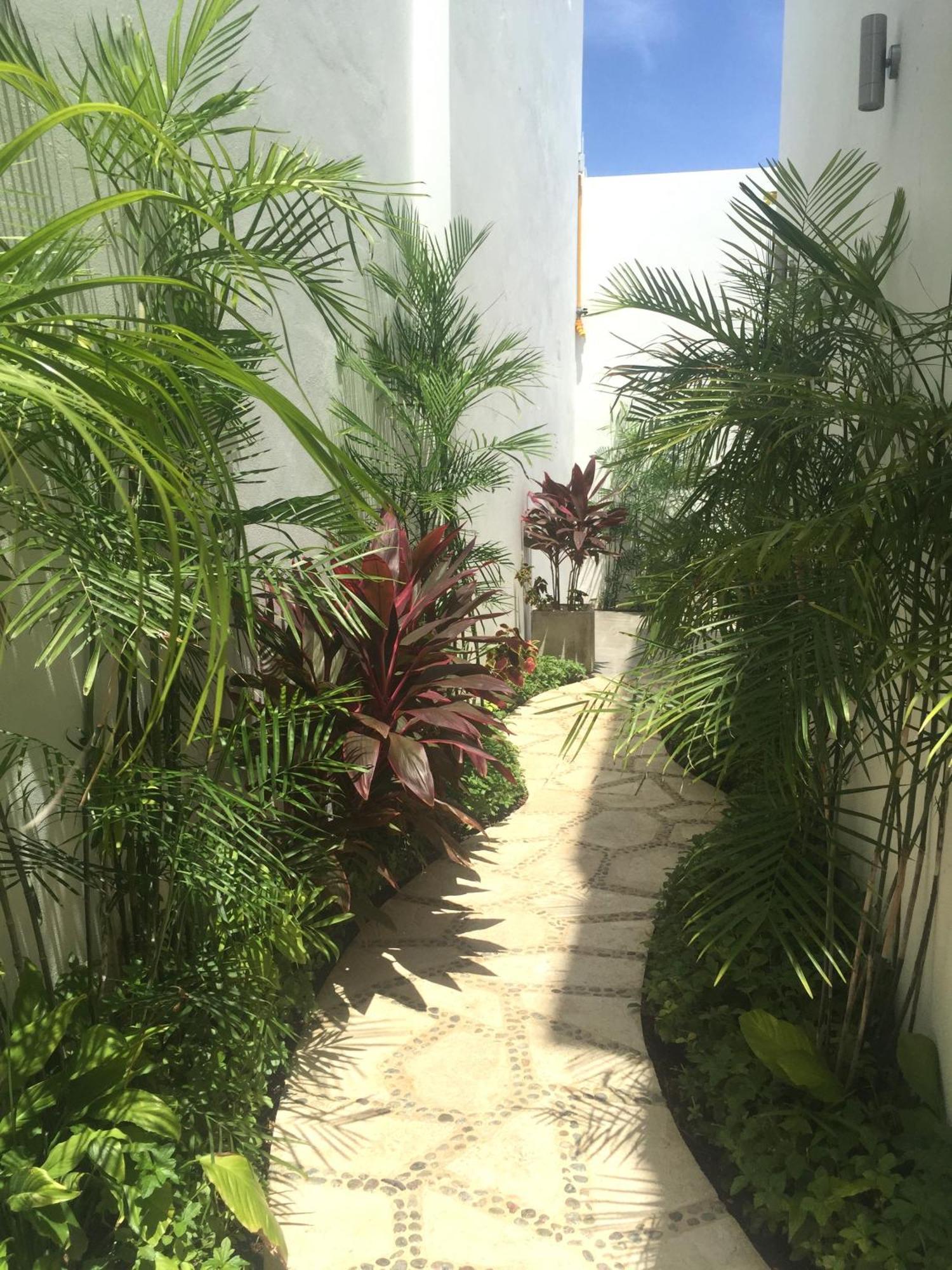Quinta Santa Anita Hotel ปลายาเดลการ์เมน ภายนอก รูปภาพ