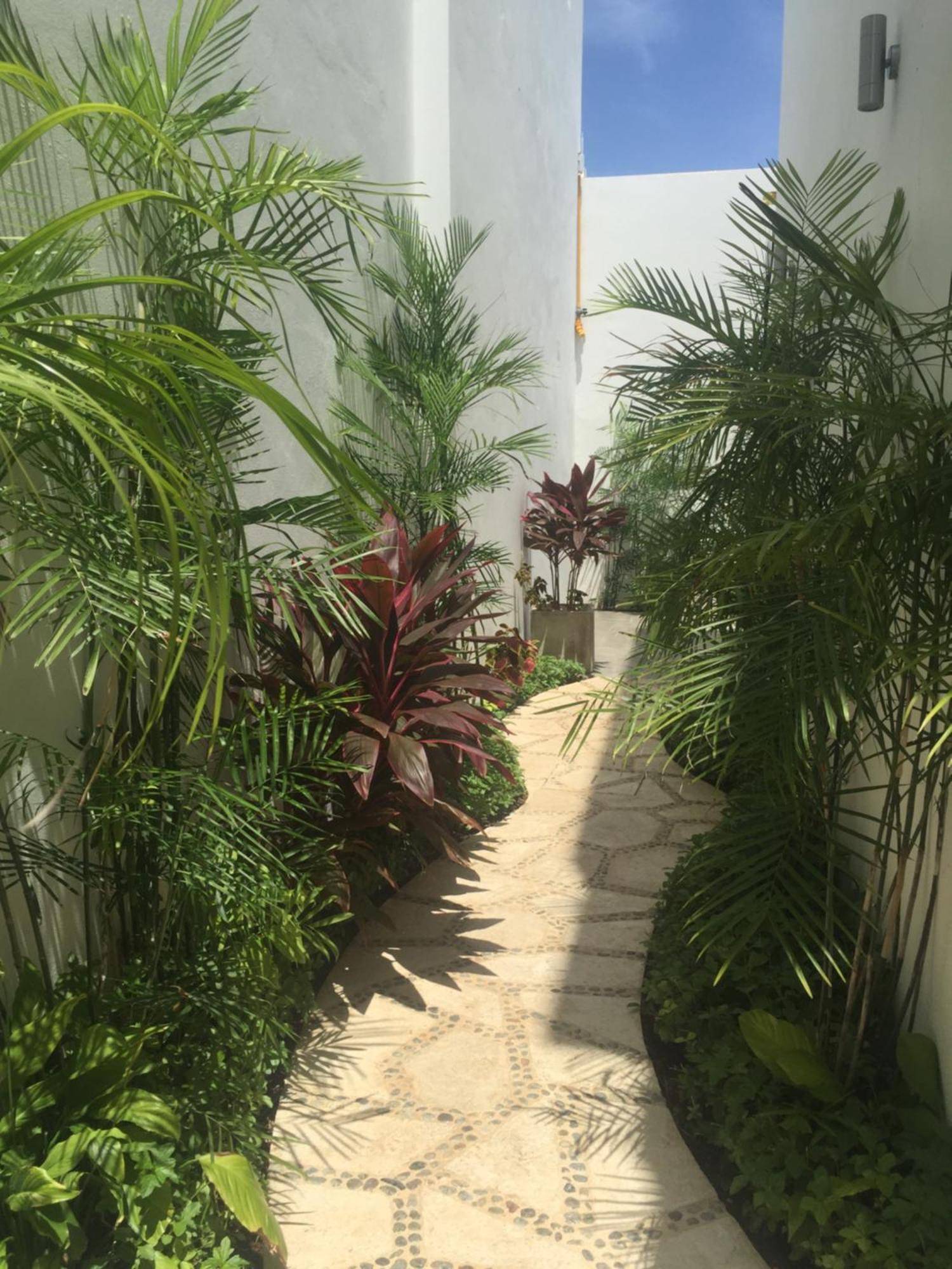 Quinta Santa Anita Hotel ปลายาเดลการ์เมน ภายนอก รูปภาพ