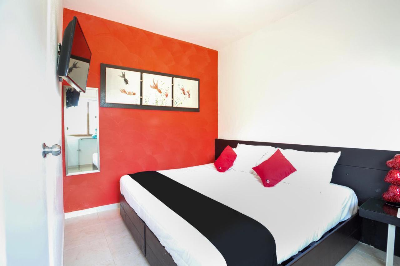 Quinta Santa Anita Hotel ปลายาเดลการ์เมน ภายนอก รูปภาพ