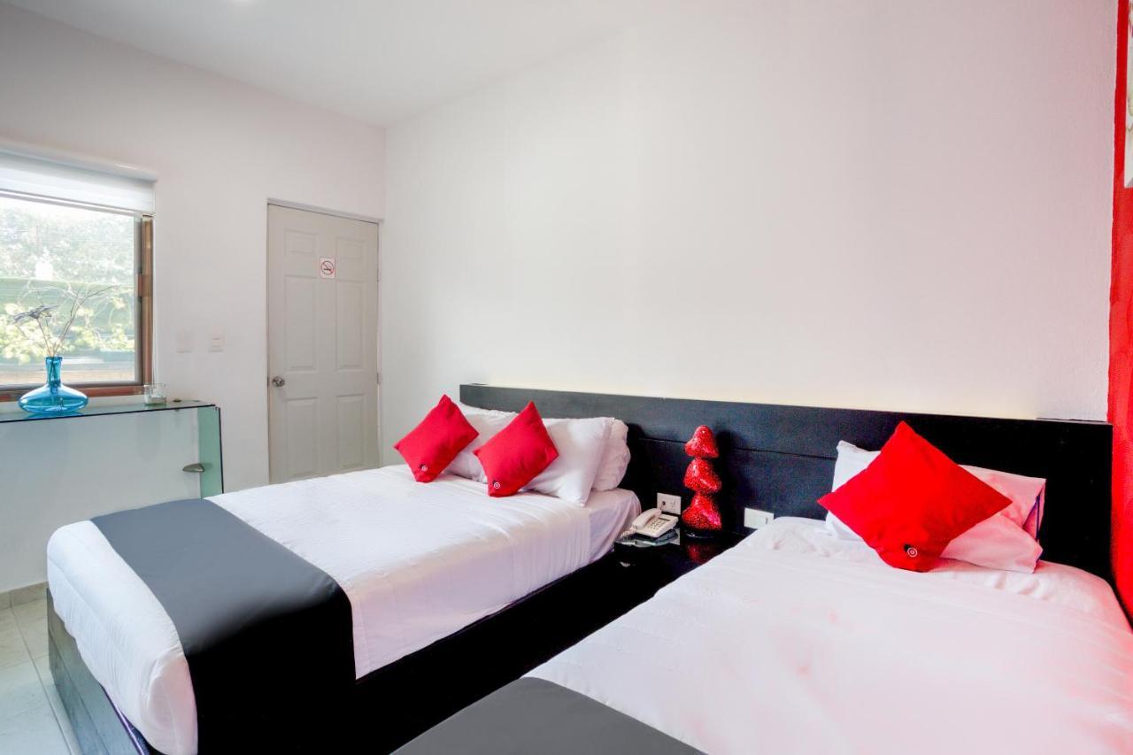 Quinta Santa Anita Hotel ปลายาเดลการ์เมน ภายนอก รูปภาพ